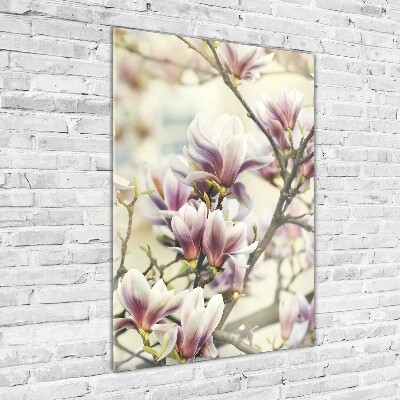 Wall art on glass Magnolia