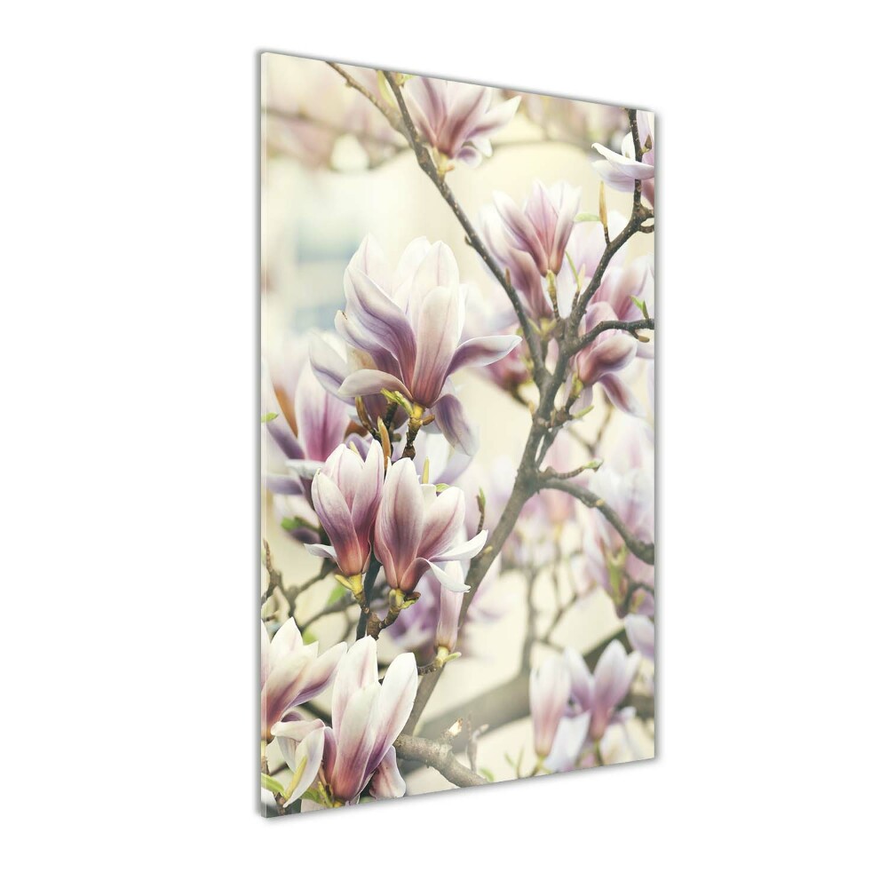 Wall art on glass Magnolia