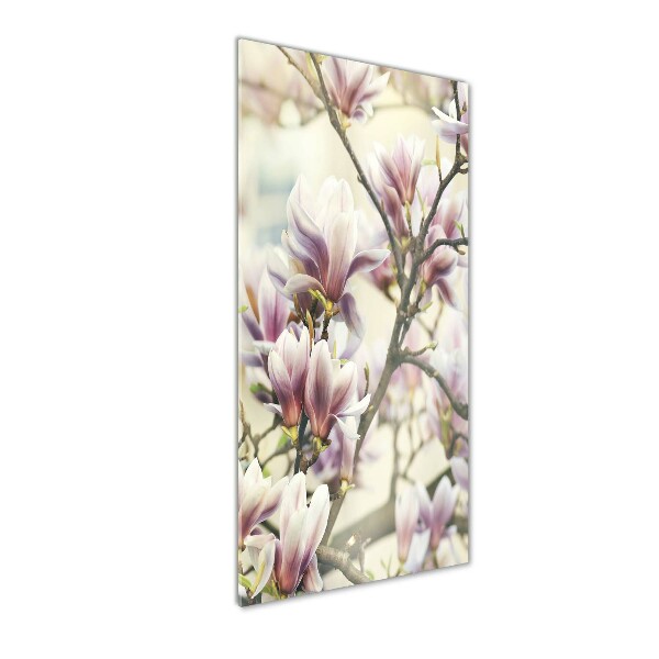 Wall art on glass Magnolia