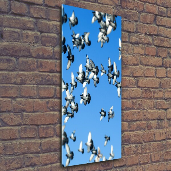 Print on a a glass Pigeons in the sky