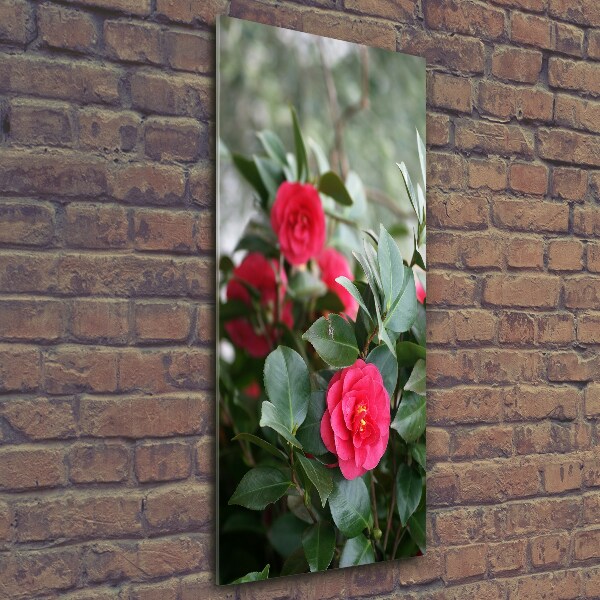 Print on a a glass Camellia