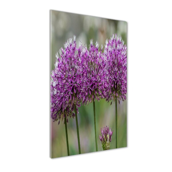 Glass wall art Garlic flowers