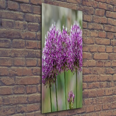 Glass wall art Garlic flowers