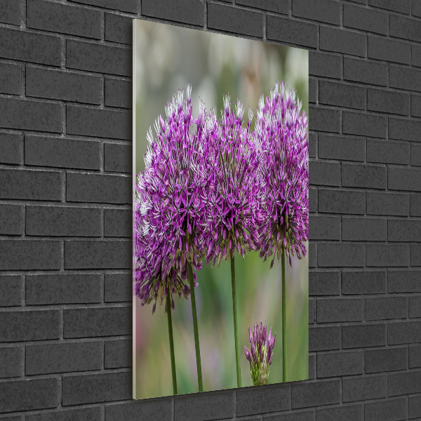 Glass wall art Garlic flowers