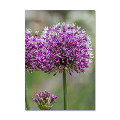 Glass wall art Garlic flowers