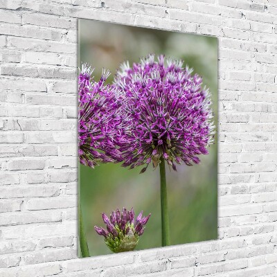 Glass wall art Garlic flowers