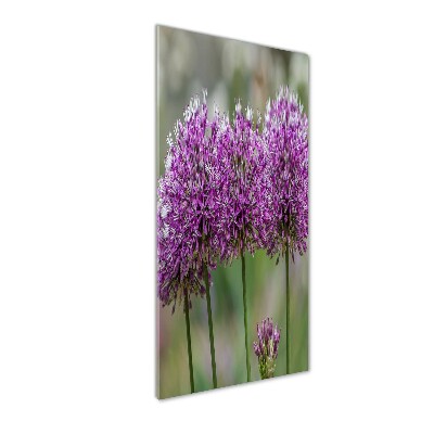 Glass wall art Garlic flowers