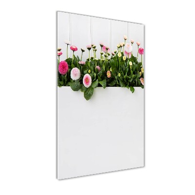 Glass wall art Pink daisies