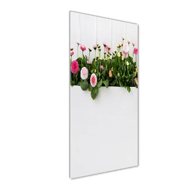 Glass wall art Pink daisies