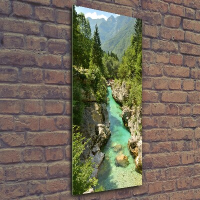 Photo printed on glass Mountain stream