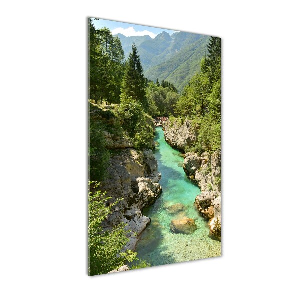 Photo printed on glass Mountain stream