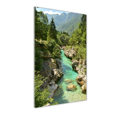 Photo printed on glass Mountain stream