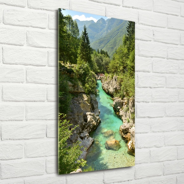 Photo printed on glass Mountain stream