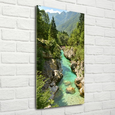 Photo printed on glass Mountain stream