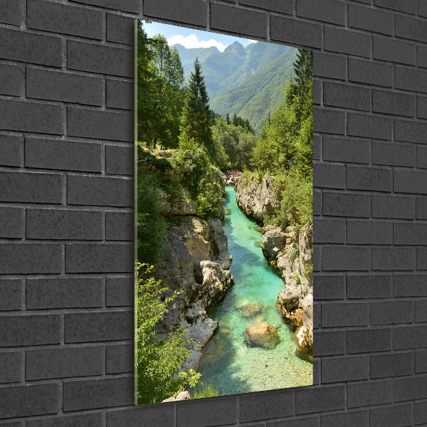 Photo printed on glass Mountain stream