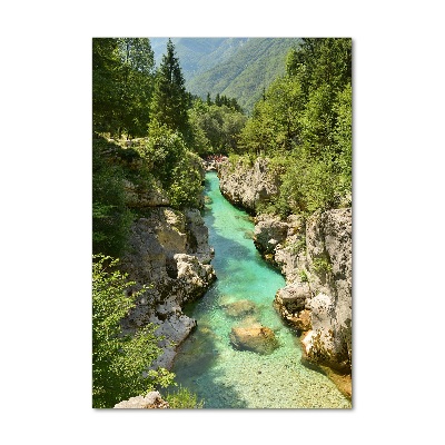 Photo printed on glass Mountain stream