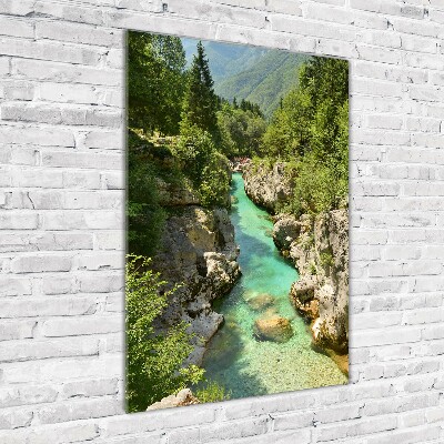 Photo printed on glass Mountain stream