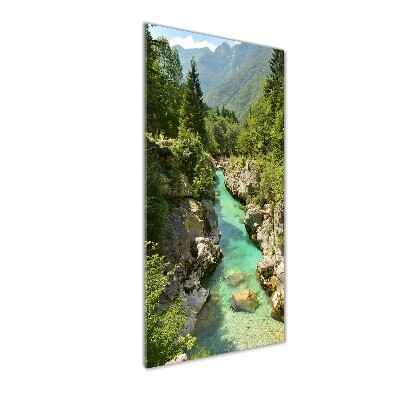 Photo printed on glass Mountain stream