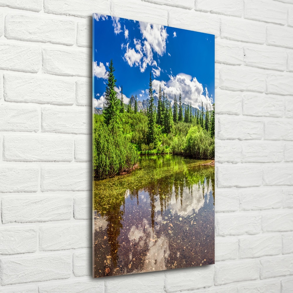 Photo printed on glass Lake in the mountains