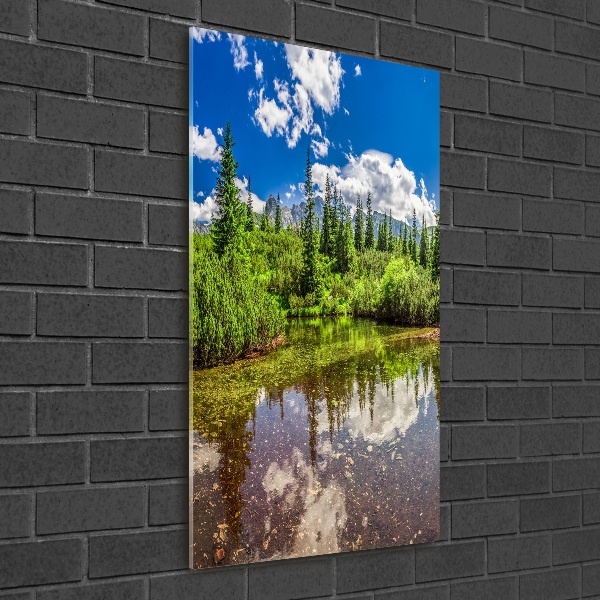 Photo printed on glass Lake in the mountains