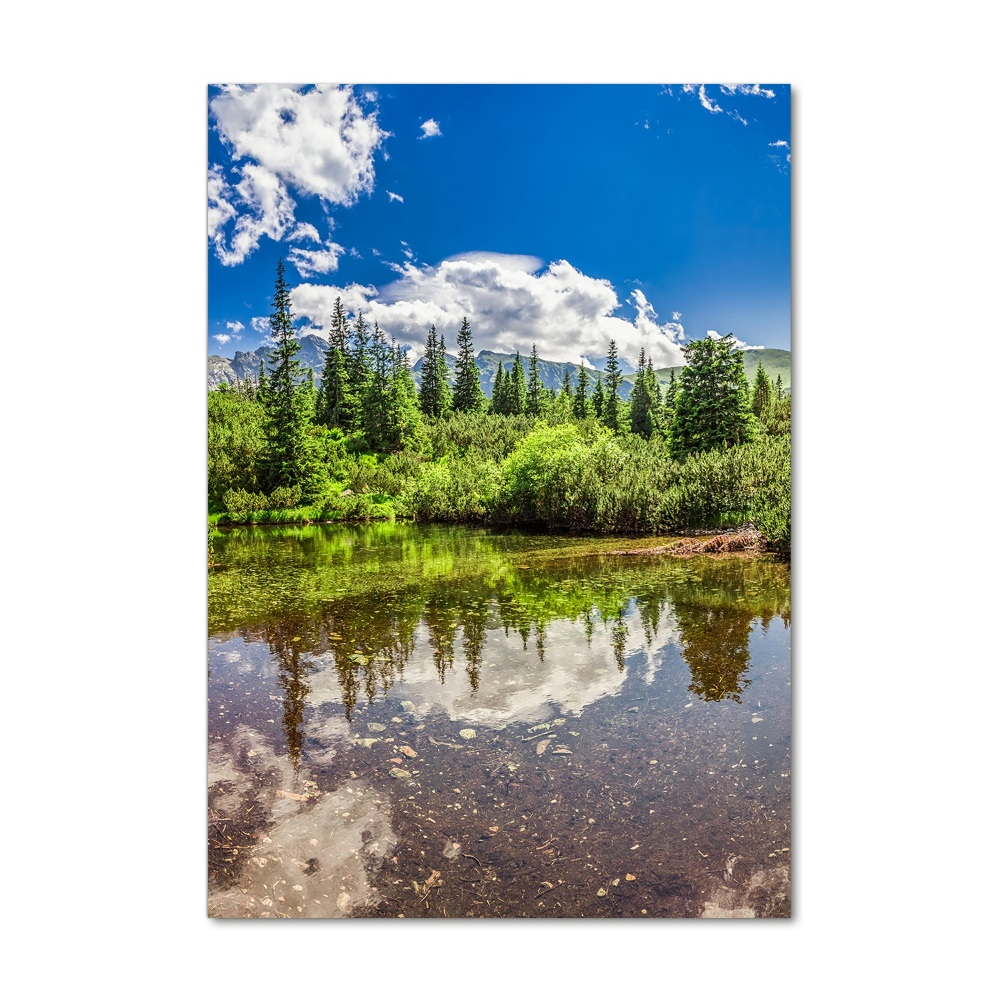 Photo printed on glass Lake in the mountains