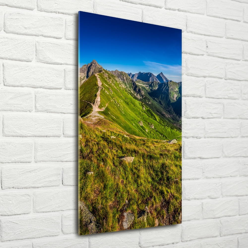 Photo printed on glass Tatra Mountains