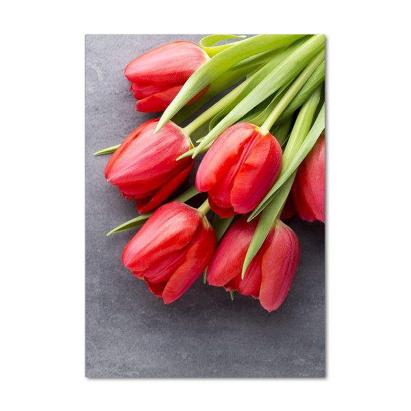 Wall art on glass Red tulips