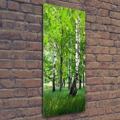 Photo printed on glass Birch forest