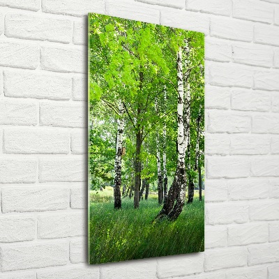 Photo printed on glass Birch forest