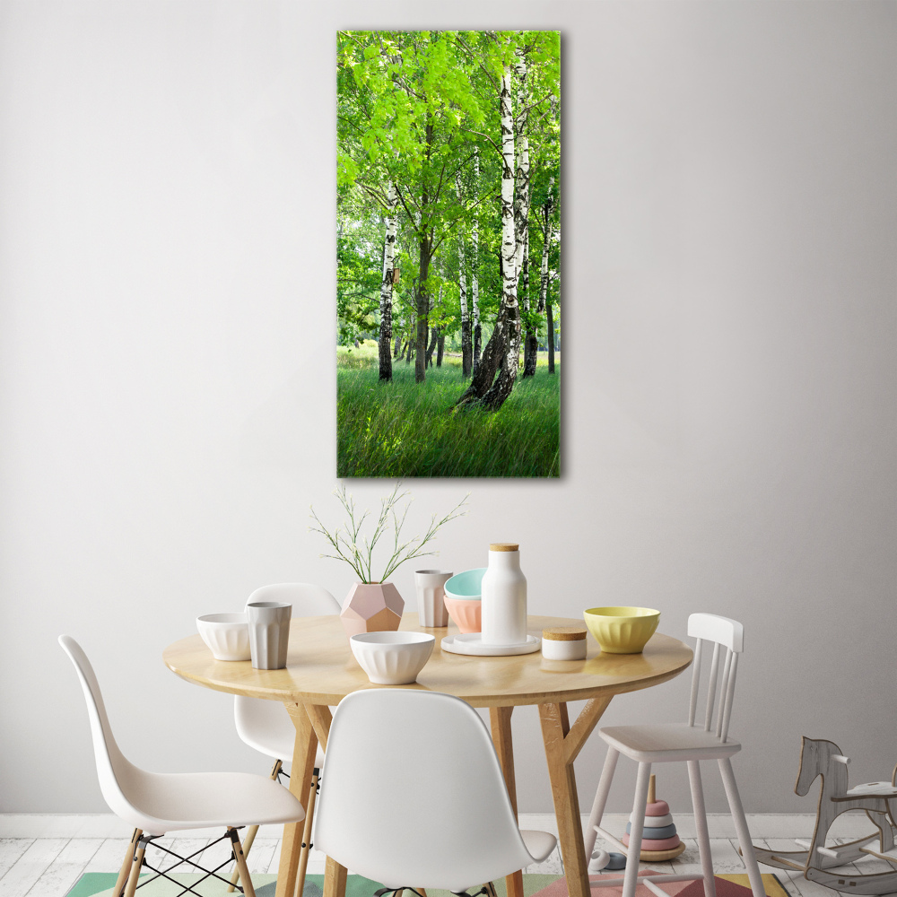 Photo printed on glass Birch forest