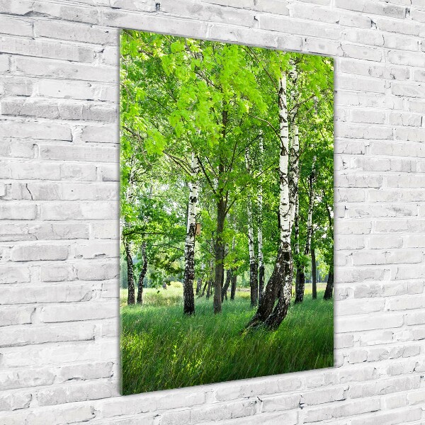 Photo printed on glass Birch forest