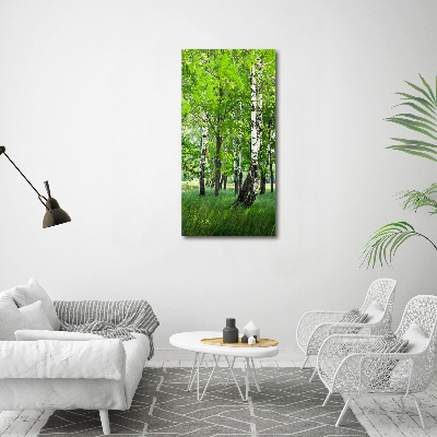 Photo printed on glass Birch forest