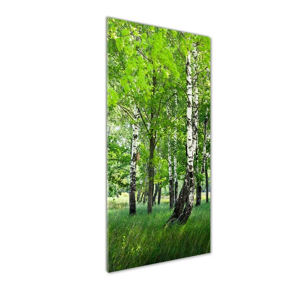 Photo printed on glass Birch forest