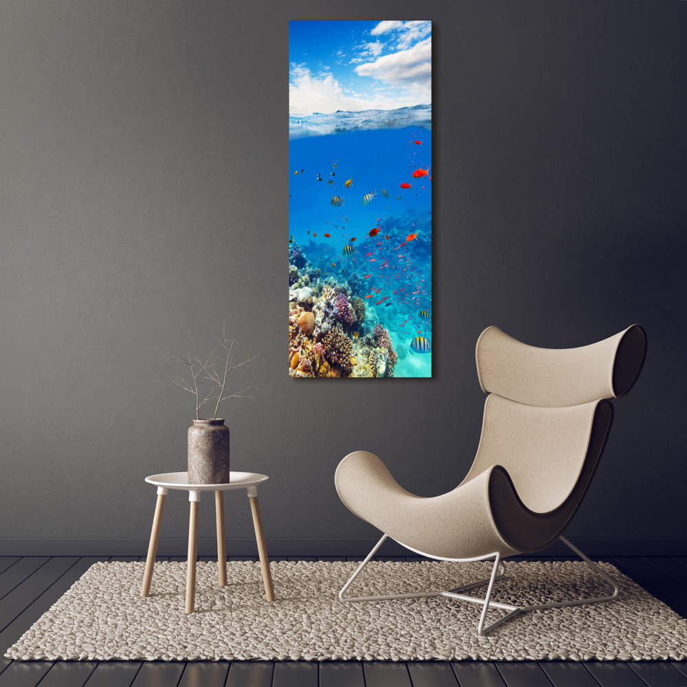 Photo printed on glass Coral reef