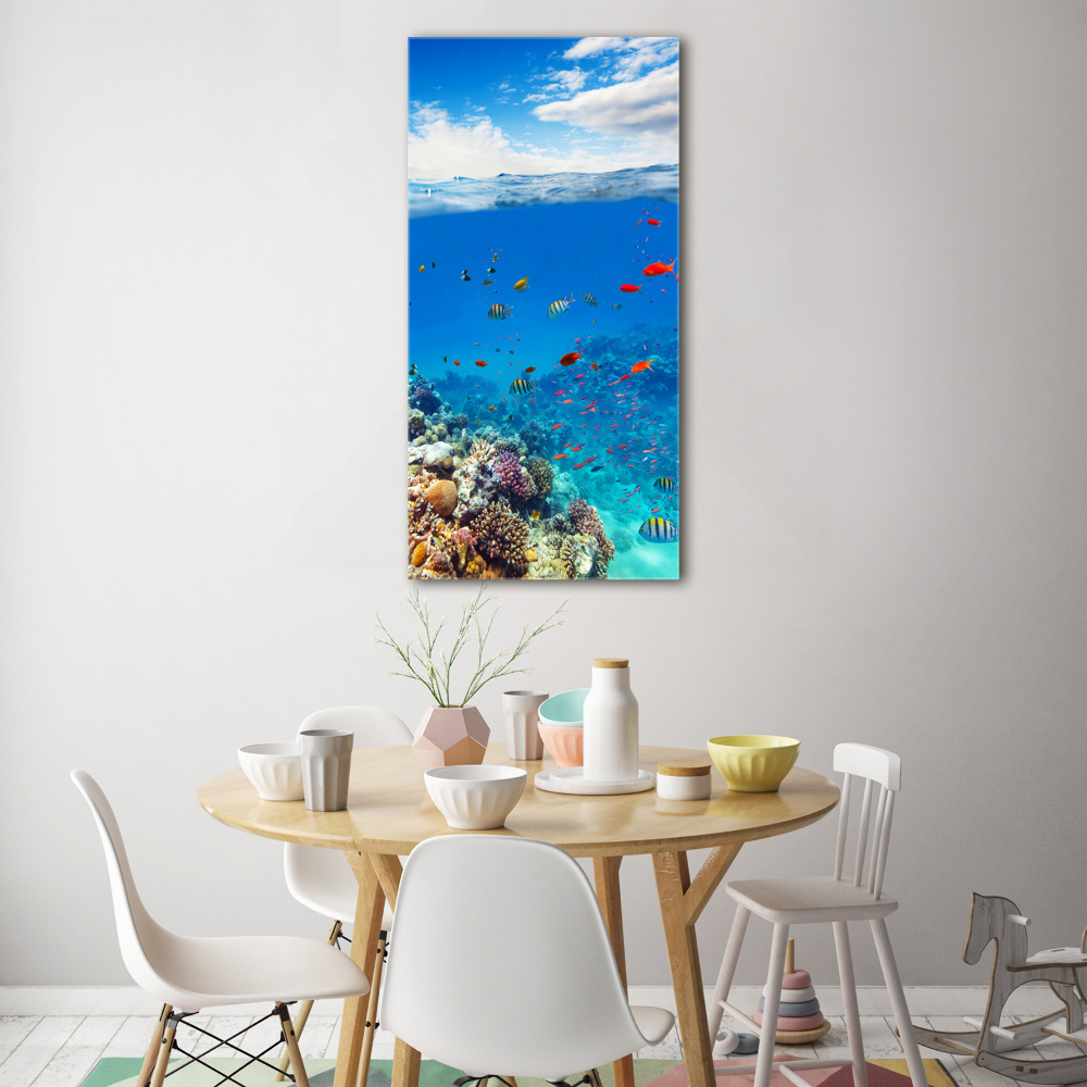 Photo printed on glass Coral reef