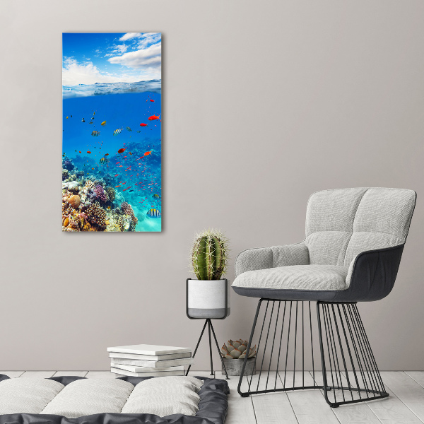 Photo printed on glass Coral reef