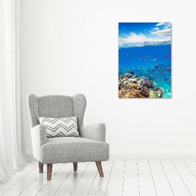 Photo printed on glass Coral reef