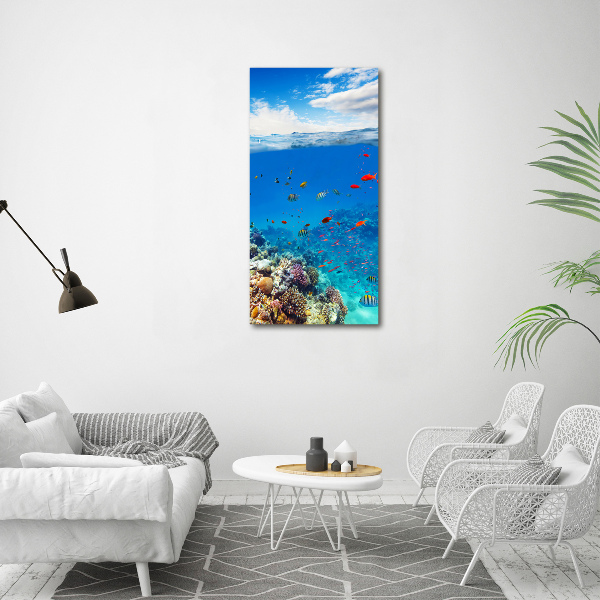 Photo printed on glass Coral reef