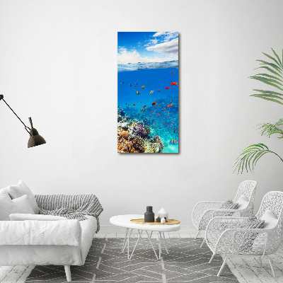 Photo printed on glass Coral reef