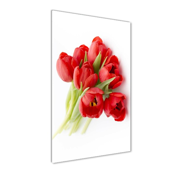 Wall art on glass Red tulips