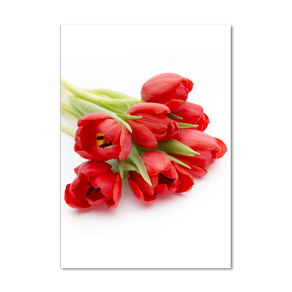 Wall art on glass Red tulips