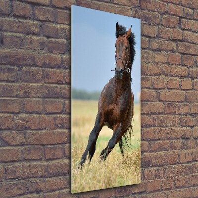 Wall art on glass Horse