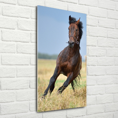 Wall art on glass Horse