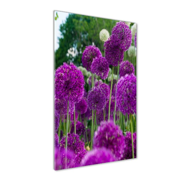 Glass wall art Garlic flowers