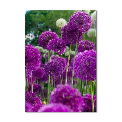 Glass wall art Garlic flowers