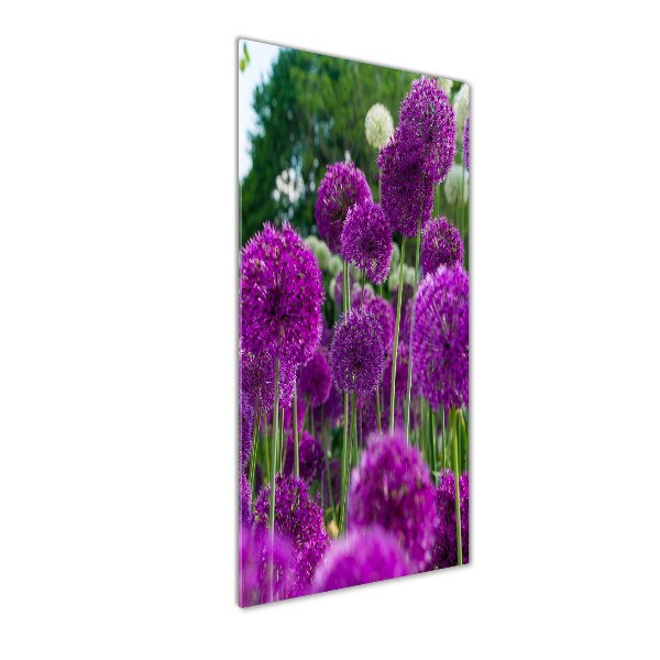 Glass wall art Garlic flowers