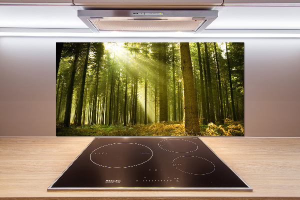 Kitchen splashback a pine forest