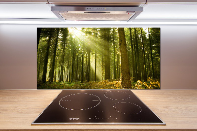 Kitchen splashback a pine forest