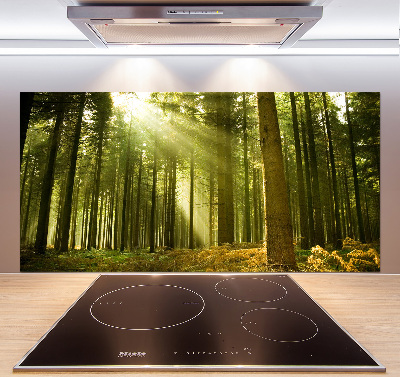 Kitchen splashback a pine forest