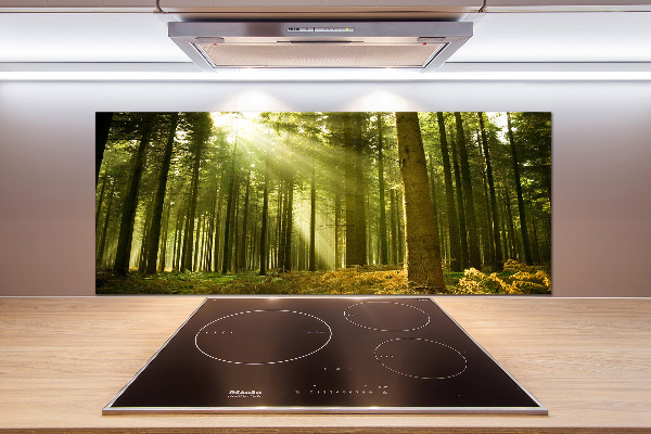 Kitchen splashback a pine forest